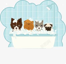 一起共同洗澡澡的动物们素材