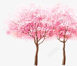 粉色樱花春季风景素材