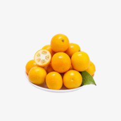 美容柠檬水果金桔实物图高清图片