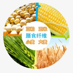 纤维杂粮散养鸡饲料信息高清图片