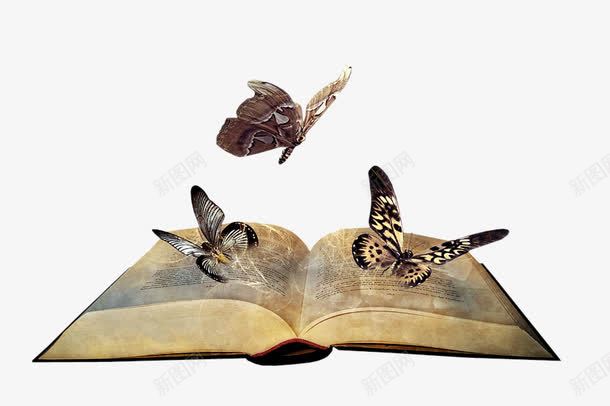 打开的古书png免抠素材_88icon https://88icon.com 书籍 书香 古书 古老的书本 古董书 打开 蝴蝶
