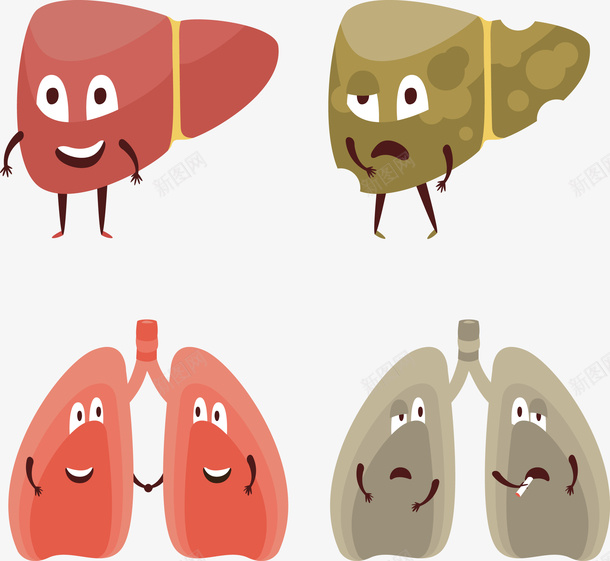 人体器官肝脏矢量图eps免抠素材_88icon https://88icon.com 人体器官 器官 器官PNG 矢量肝脏 肝脏 矢量图