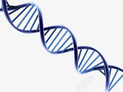 蓝色卡通DNA结构图素材