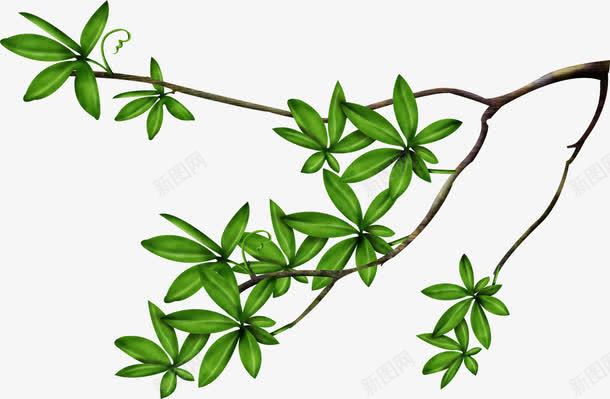 手绘小清新风格绿色树叶枝芽png免抠素材_88icon https://88icon.com 手绘 枝叶 树 树叶 树枝 树腾 树藤 绿叶 绿色 藤蔓