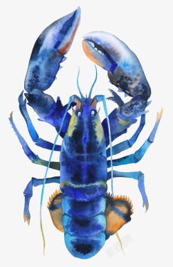 蓝色深海龙虾图案素材