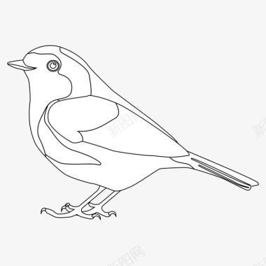 飞翔的鹦鹉手绘鸟禽类矢量图图标图标