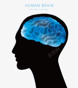 人脑图大脑高清图片