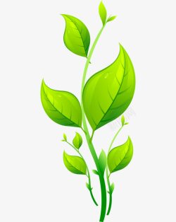 植物的生长过程卡通绿色小草嫩芽高清图片