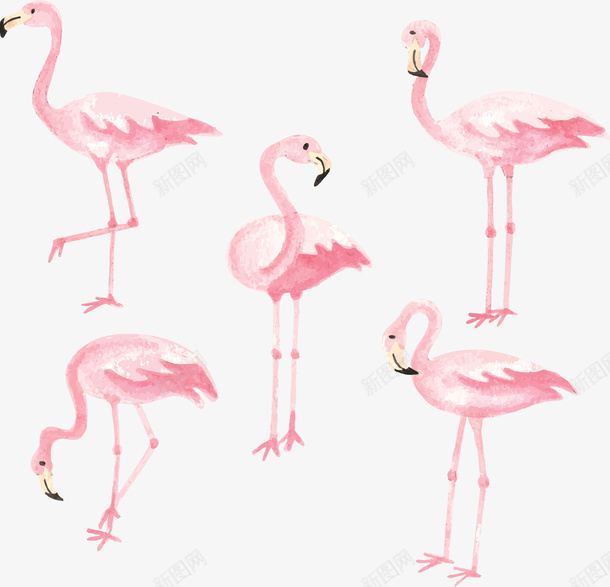 小清新粉红火烈鸟矢量图ai免抠素材_88icon https://88icon.com 夏天 小清新 火烈鸟 火焰鸟 矢量png 矢量图 粉红色 粉色火烈鸟