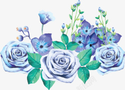 蓝色玫瑰矢量图精美蓝色玫瑰花丛矢量图高清图片