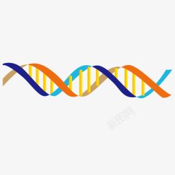 创意人体DNA双螺旋素材