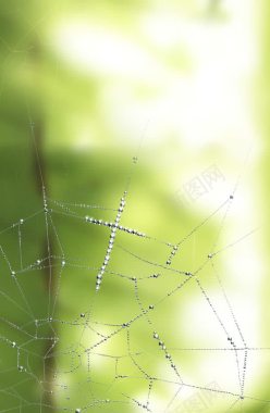 蜘蛛网油画背景背景