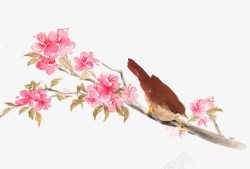 水彩桃花小鸟素材