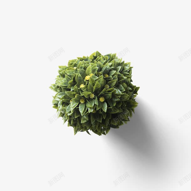 绿色盆景植树节png免抠素材_88icon https://88icon.com 健康 春天 春天素材 春季素材 桌面 植树节 植物 盆景 绿色