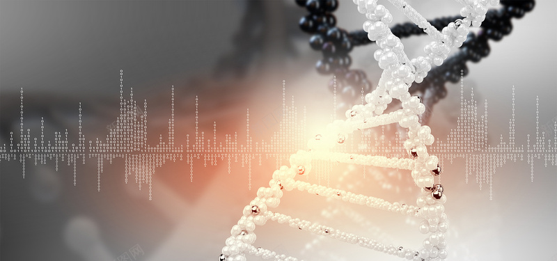 基因数据转基因科技灰色海报背景背景