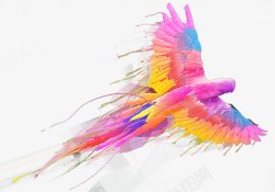 飞翔的彩色鹦鹉素材