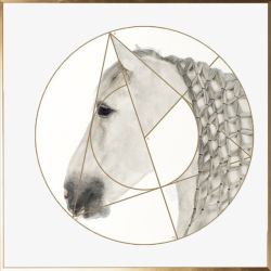 晶瓷古典雅致马头装饰画高清图片