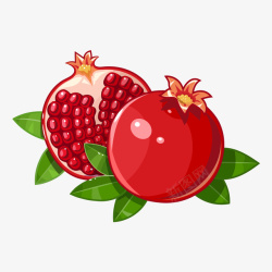 手绘水果图片红色的水果石榴矢量图高清图片