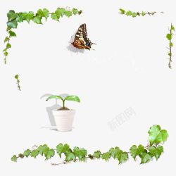 绿色植物藤蔓蝴蝶边框海报背景素材