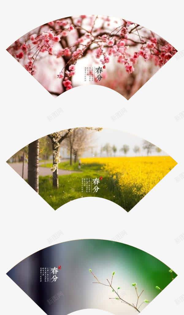 春分节气png免抠素材_88icon https://88icon.com 扇形 春分 素材 节气