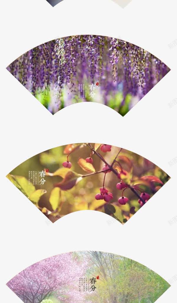 春分节气png免抠素材_88icon https://88icon.com 扇形 春分 素材 节气