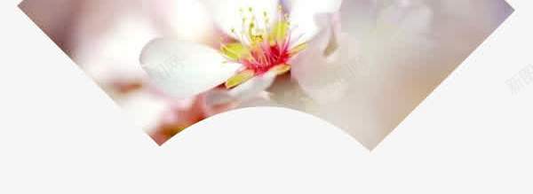 春分节气png免抠素材_88icon https://88icon.com 扇形 春分 素材 节气