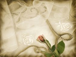 复古玫瑰花与牛玫瑰花与丝绸背景高清图片