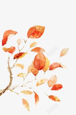 树叶秋天素材