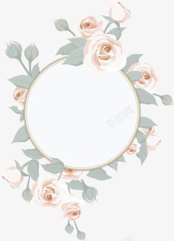 白玫瑰装饰标题框素材
