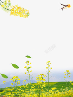 春季油菜花装饰边框创意素材