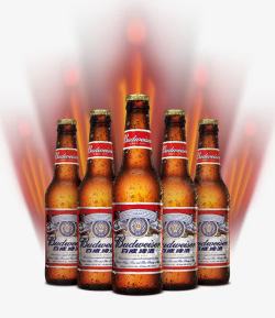 啤酒实物产品实物百威啤酒高清图片