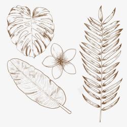 棕色手绘线条树叶装饰素材