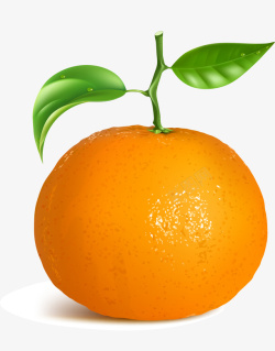 橙色简约水果素材