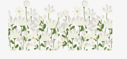 春天浪漫白色花丛矢量图素材