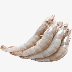 海鲜大虾实物海鲜海产品大对虾高清图片