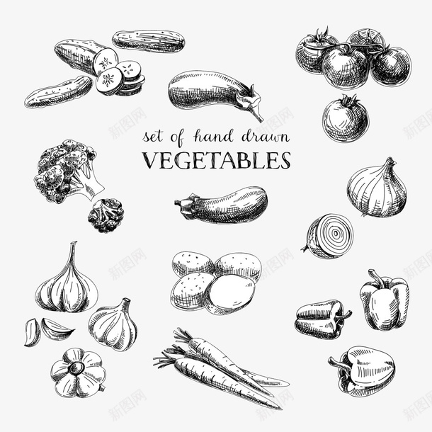创意线条食物psd免抠素材_88icon https://88icon.com 创意 蔬菜 食物