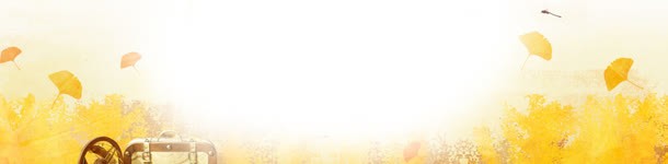 唯美秋季海报背景jpg设计背景_88icon https://88icon.com banner 叶子 唯美 大 大气 海报背景 淘宝海报 清新 简约 绿叶 背景 背景素材 通用