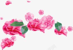 粉色水彩花朵装饰手绘康乃馨素材