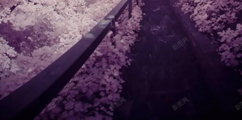 梦幻樱花天空H5背景jpg设计背景_88icon https://88icon.com H5 h5 唯美 天空 小清新 彩色 文艺 日本 梦幻 樱花 简约 风景