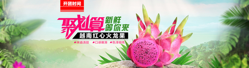 火龙果背景背景