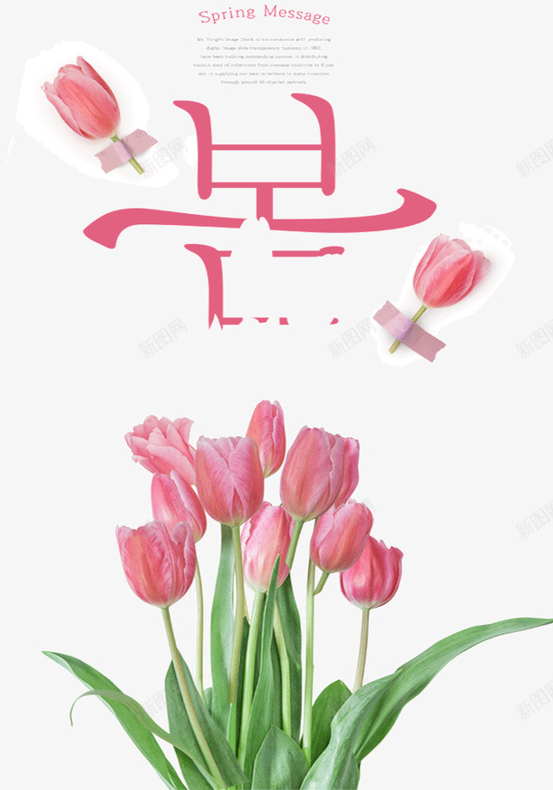 韩国的粉色春天和花朵png免抠素材_88icon https://88icon.com 夏天 春天 玫瑰花 粉色花朵 韩国的 韩文