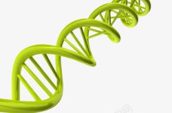 DNA螺旋素材
