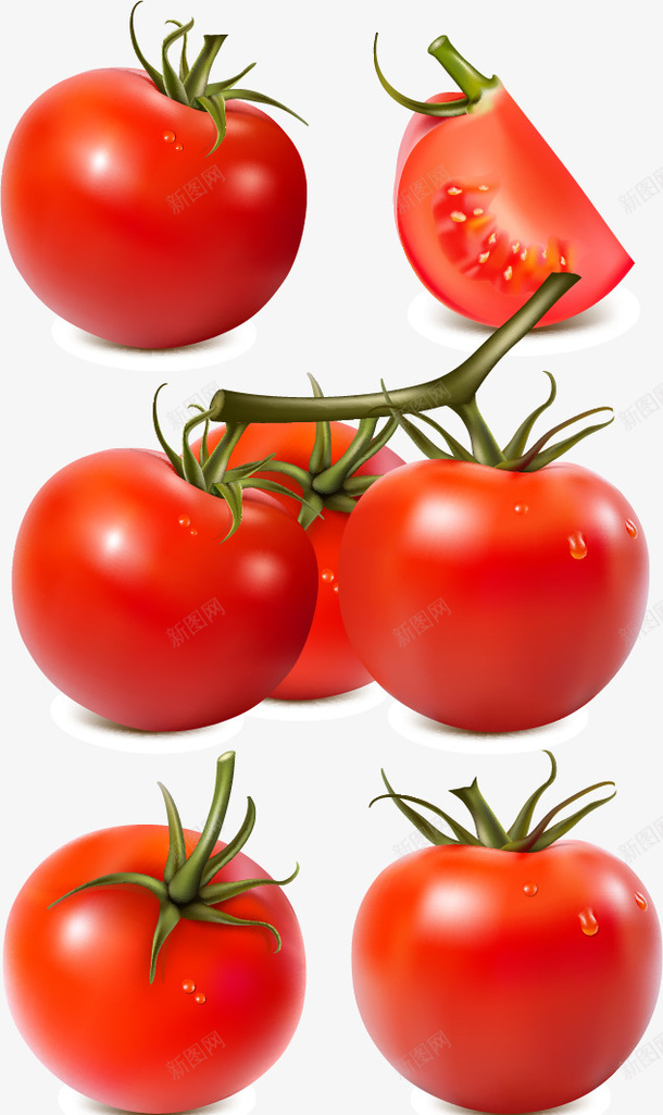 西红柿png免抠素材_88icon https://88icon.com 水果 番茄 矢量西红柿 蔬菜 西红柿