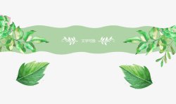 护肤品首页设计绿色手绘植物高清图片