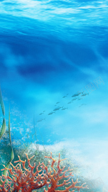 海底世界H5背景背景