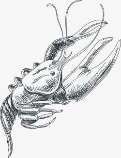 素描龙虾手绘简图素材