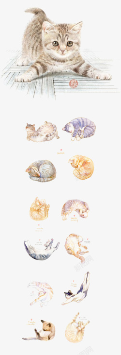 水彩手绘猫素材