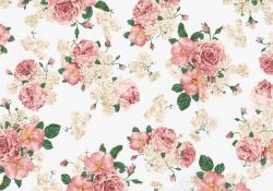粉白色复古手绘玫瑰花背景底纹高清图片