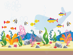 美丽海底彩色小鱼矢量图素材