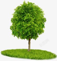绿色卡通绿色树素材